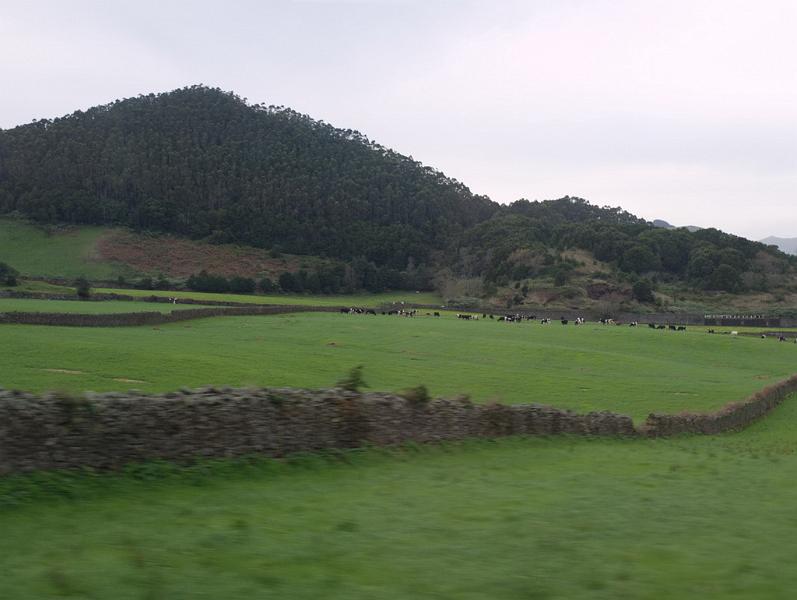 Azorerne 2007 131.jpg
